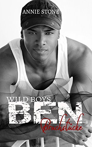 Wild Boys book cover 3