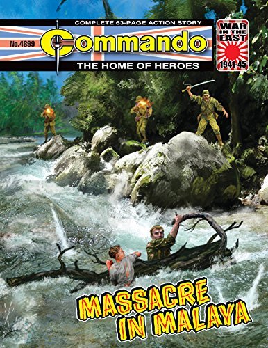 Commando #4899 book cover