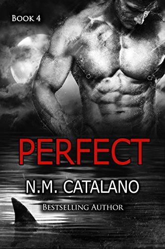 Perfect #4 book cover