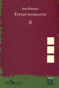 Espejo Humeante