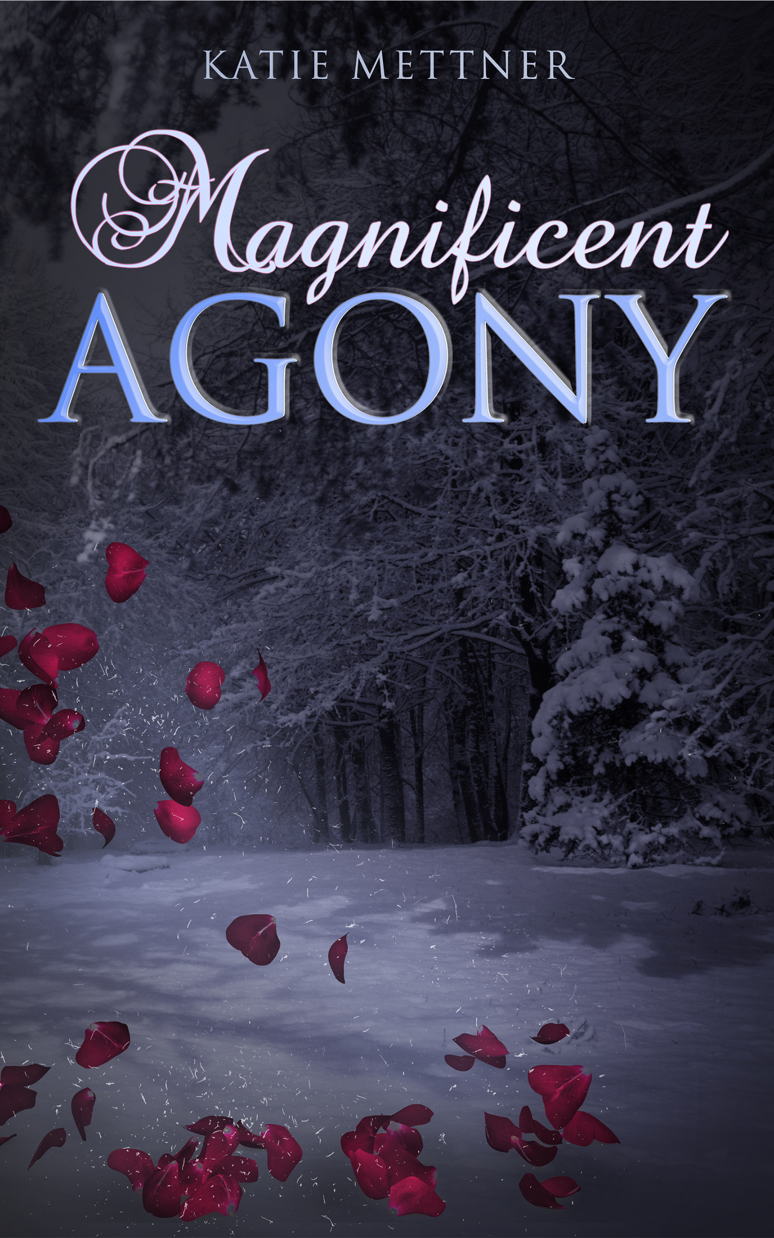 Magnificent book cover 1