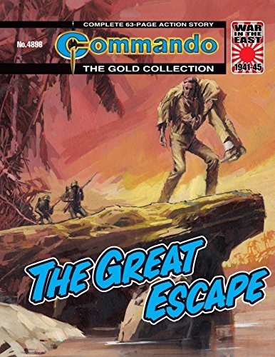 Commando #4896 book cover