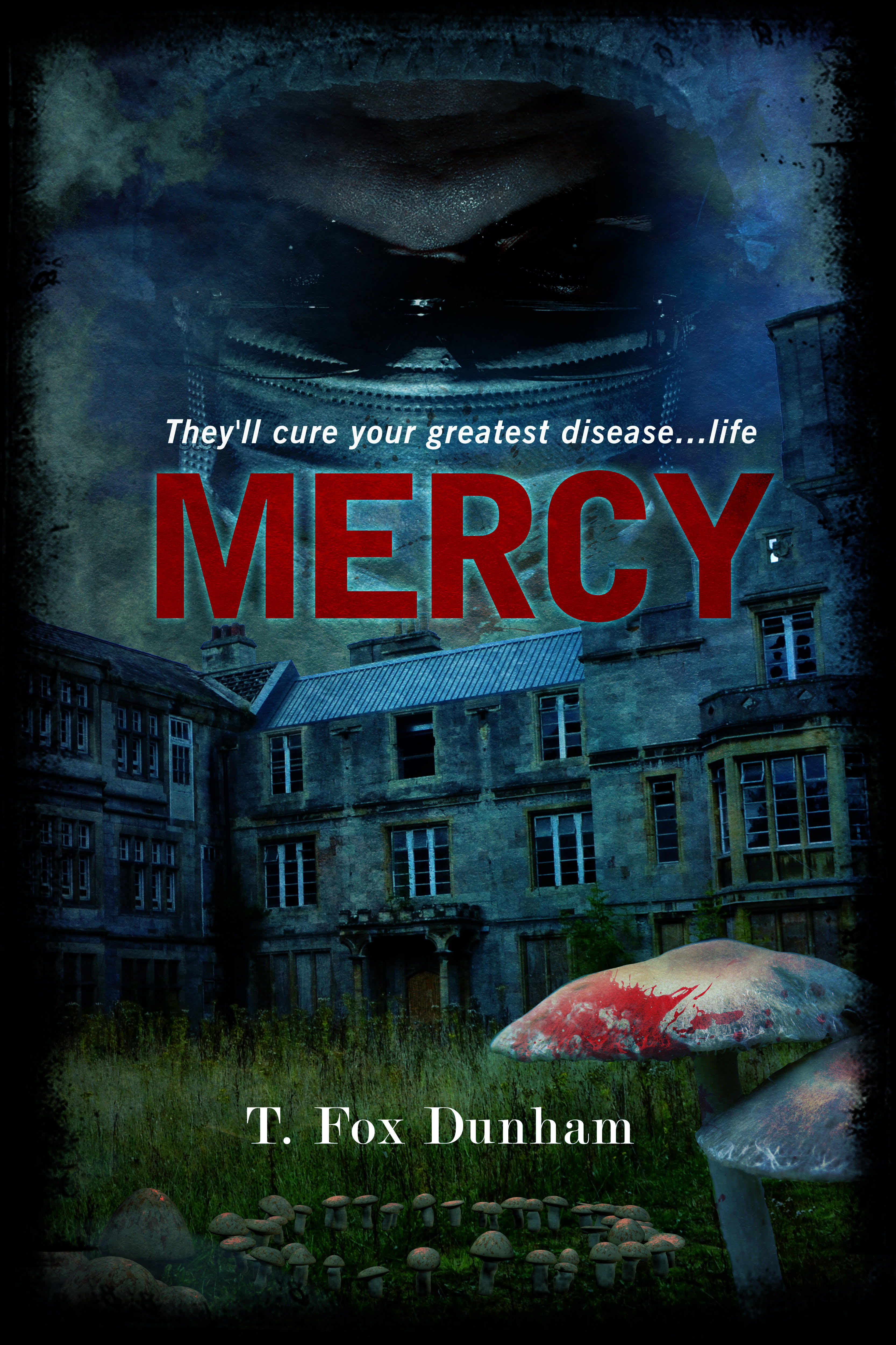 Mercy book cover