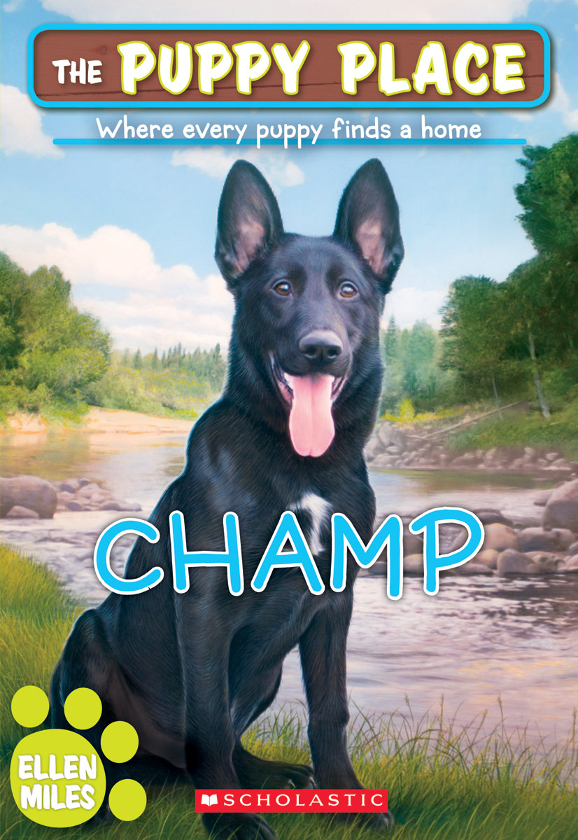 Champ book cover