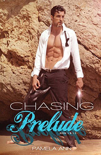 Chasing book cover