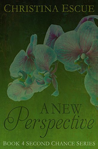 A New Perspective book cover
