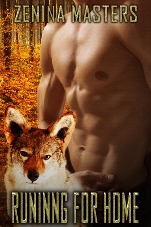 Running for Home book cover