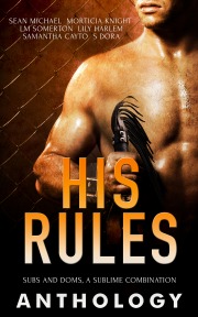 His Rules Anthology