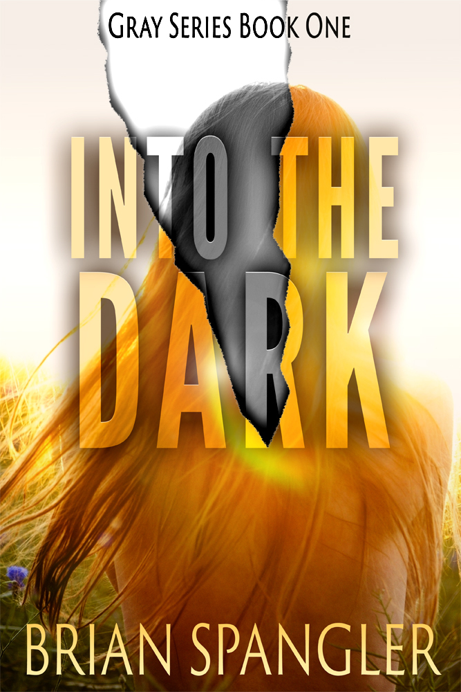 Gray book cover 1