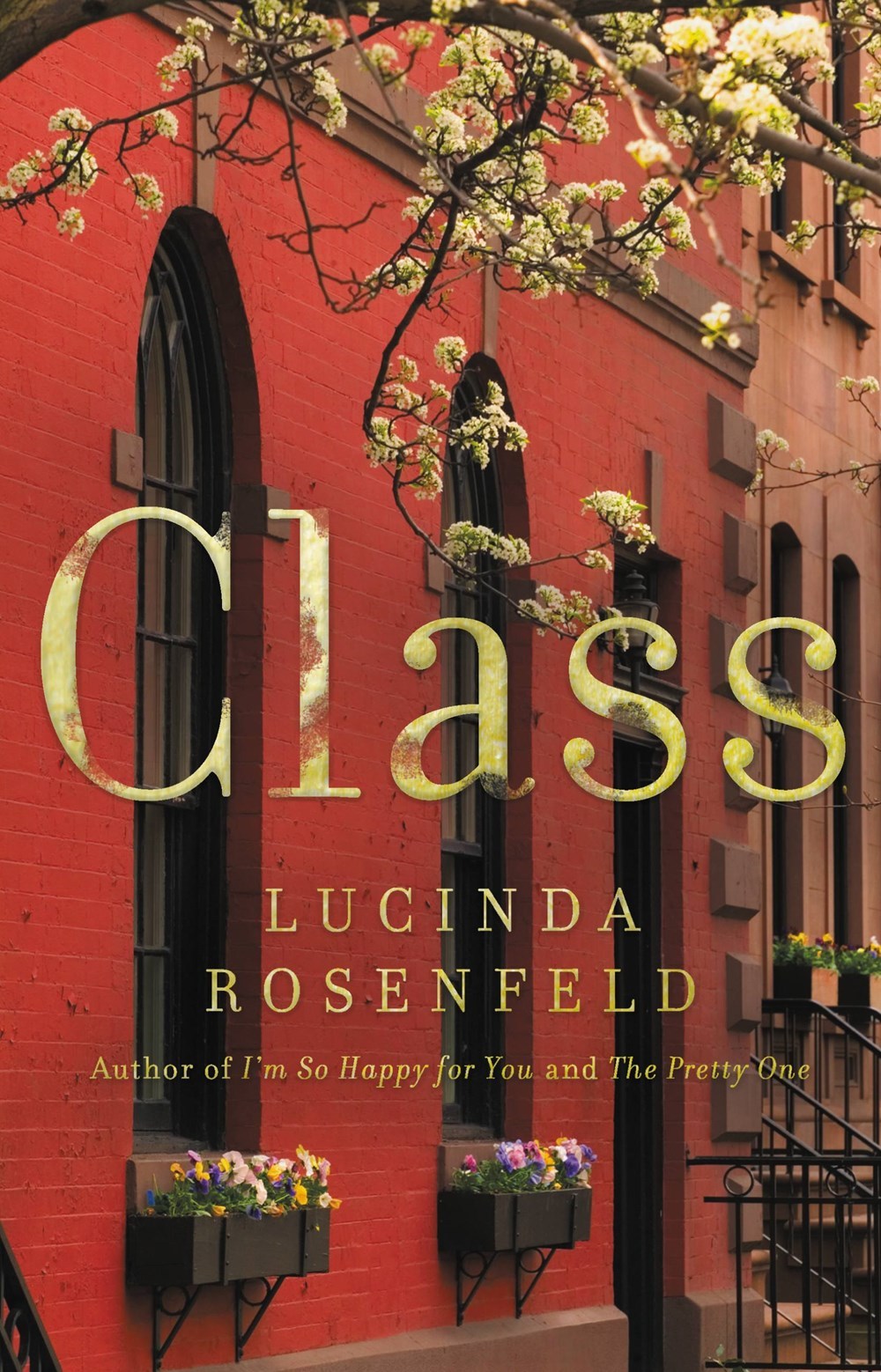Class by Lucinda Rosenfeld Goodreads