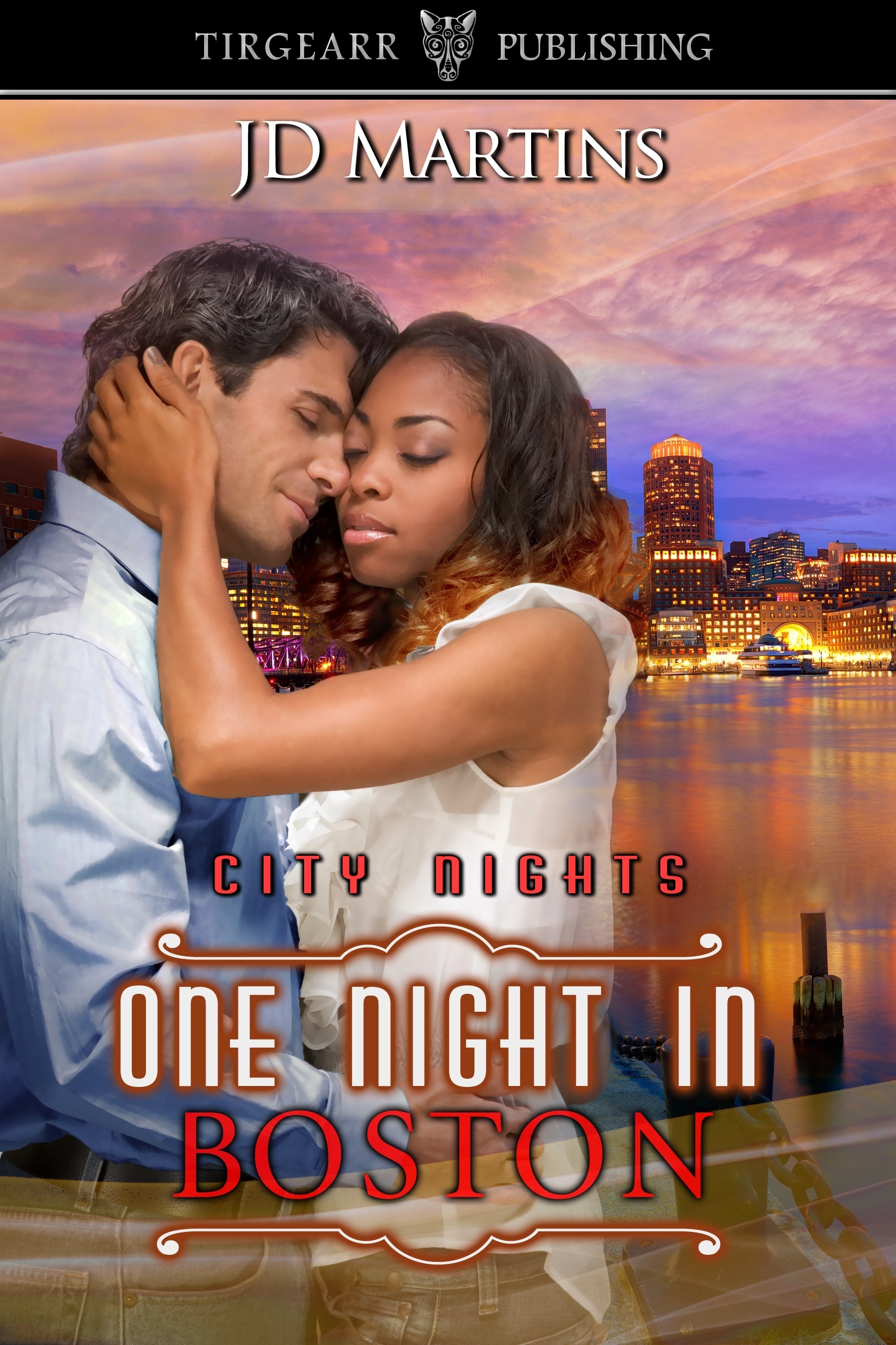 One Night in Boston book cover