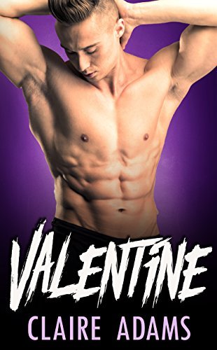 Valentine book cover