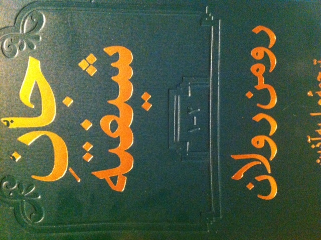 جان شیفته-جلد اول و دوم book cover
