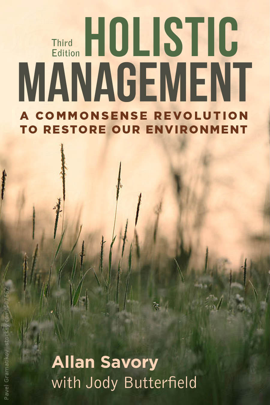 Holistic Management book cover