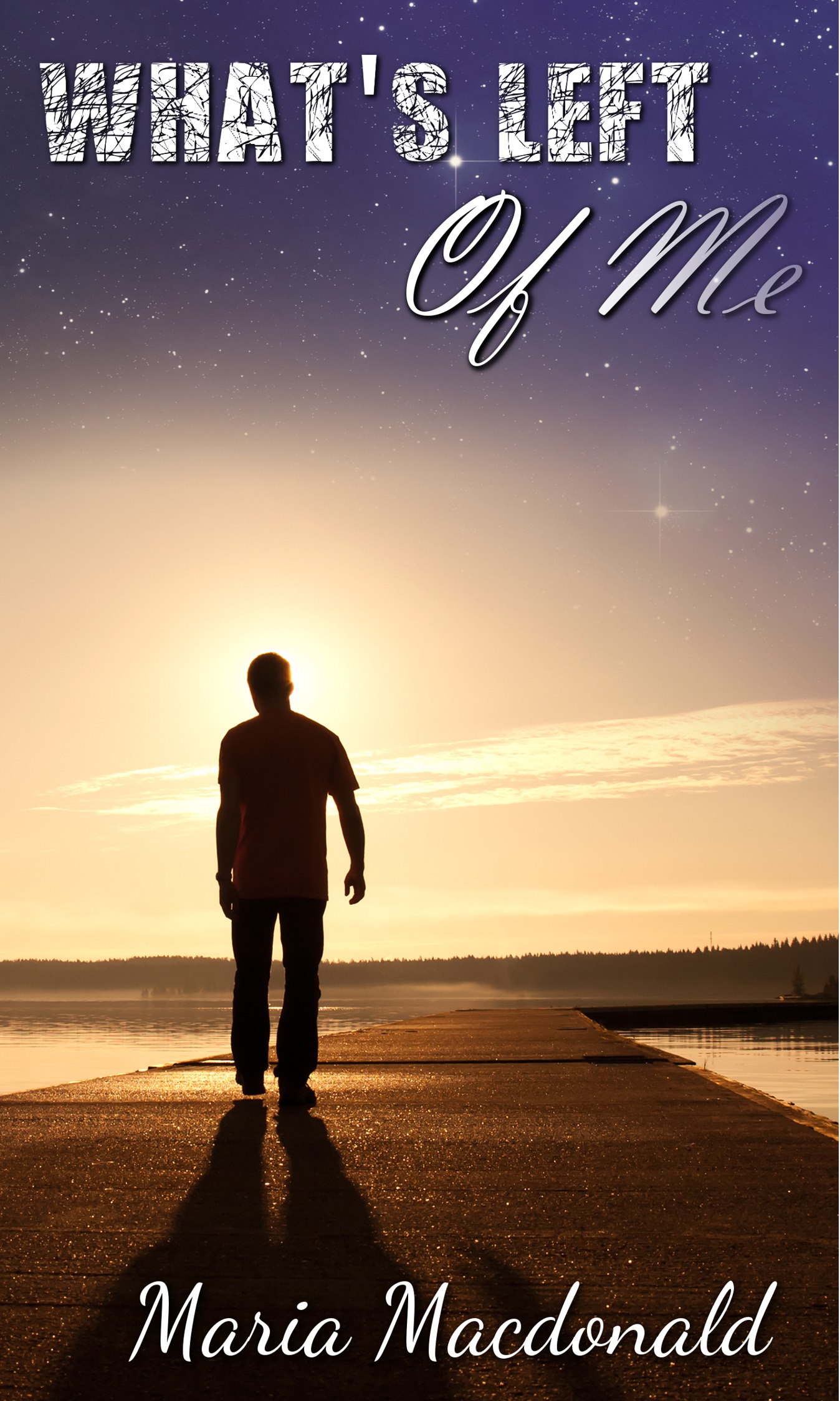 What's Left of Me book cover