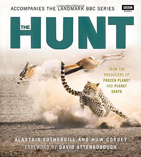 The Hunt