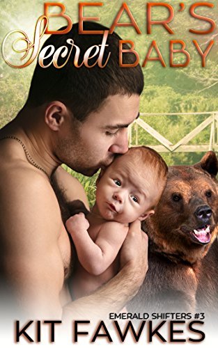 Bear's Secret Baby book cover