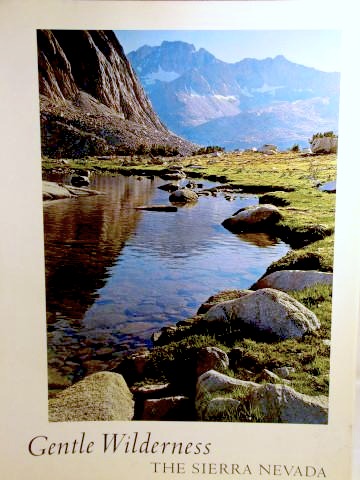 Gentle Wilderness book cover
