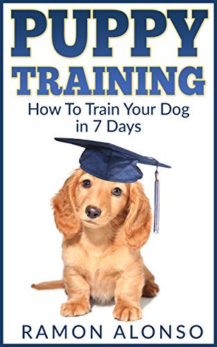 Lucky dog lessons [hardcover], 101 dog tricks, brain games for dogs and