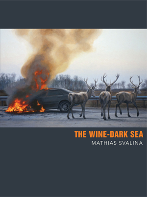 The Wine-Dark Sea book cover