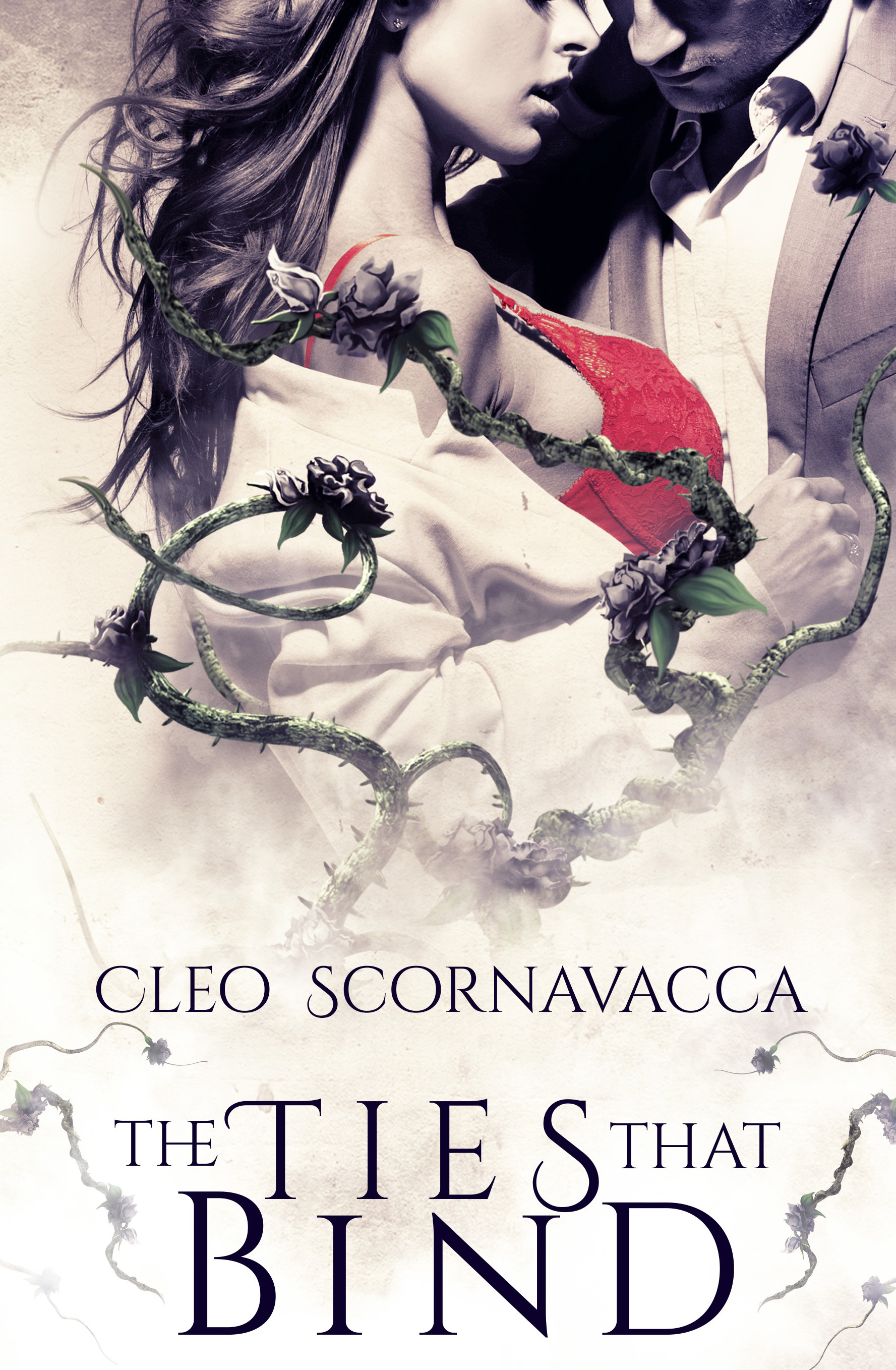 Miss Taken book cover 3