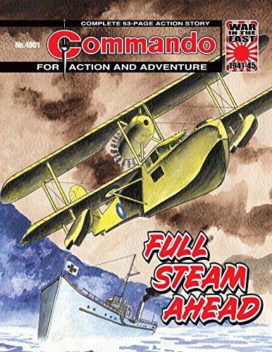 Commando #4901 book cover