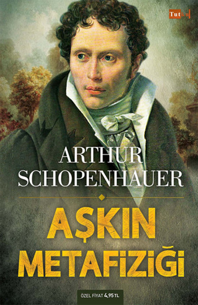 The Metaphysics of Love book cover