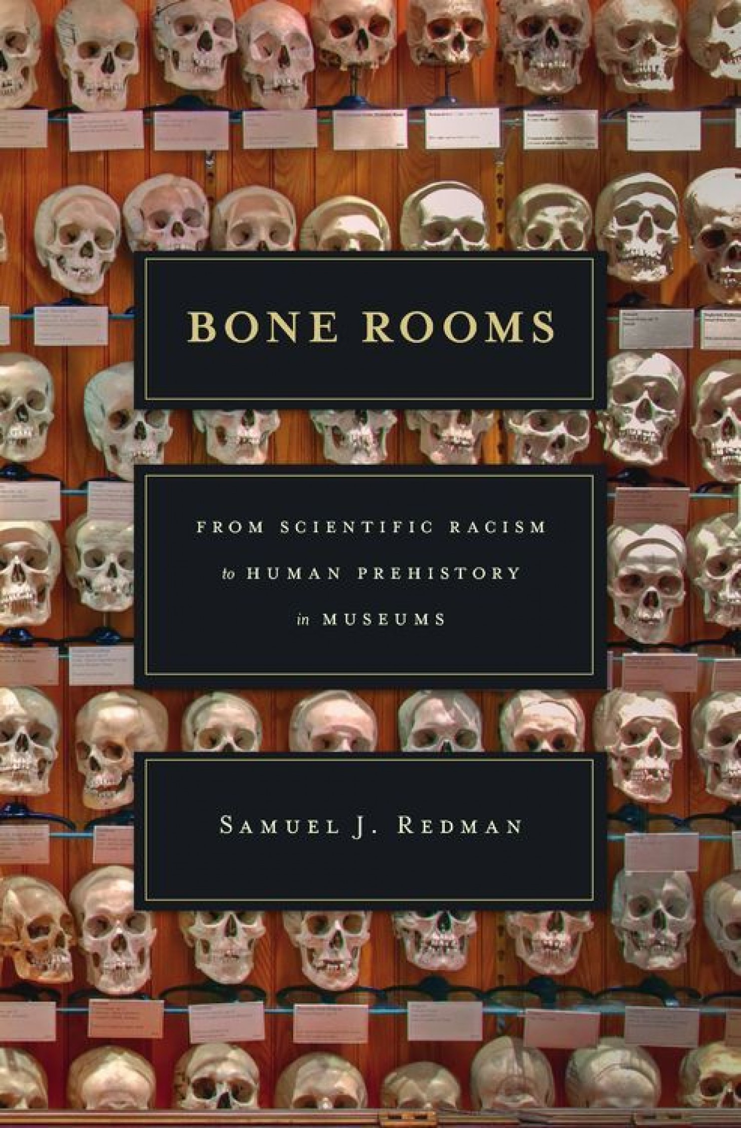 Bone Rooms: From Scientific Racism to Human Prehistory in Museums