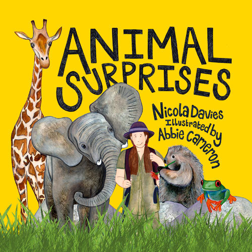 Animal Surprises book cover