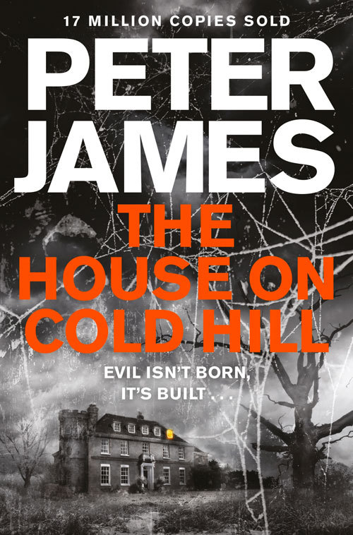 The House on Cold Hill (House on Cold Hill, #1)