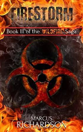 Firestorm book cover