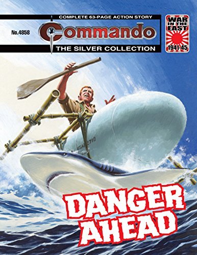 Commando #4858 book cover