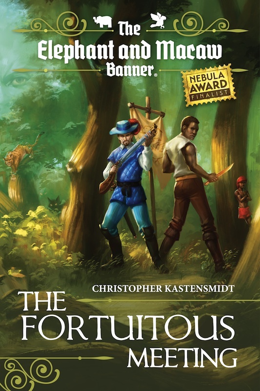The Fortuitous Meeting book cover