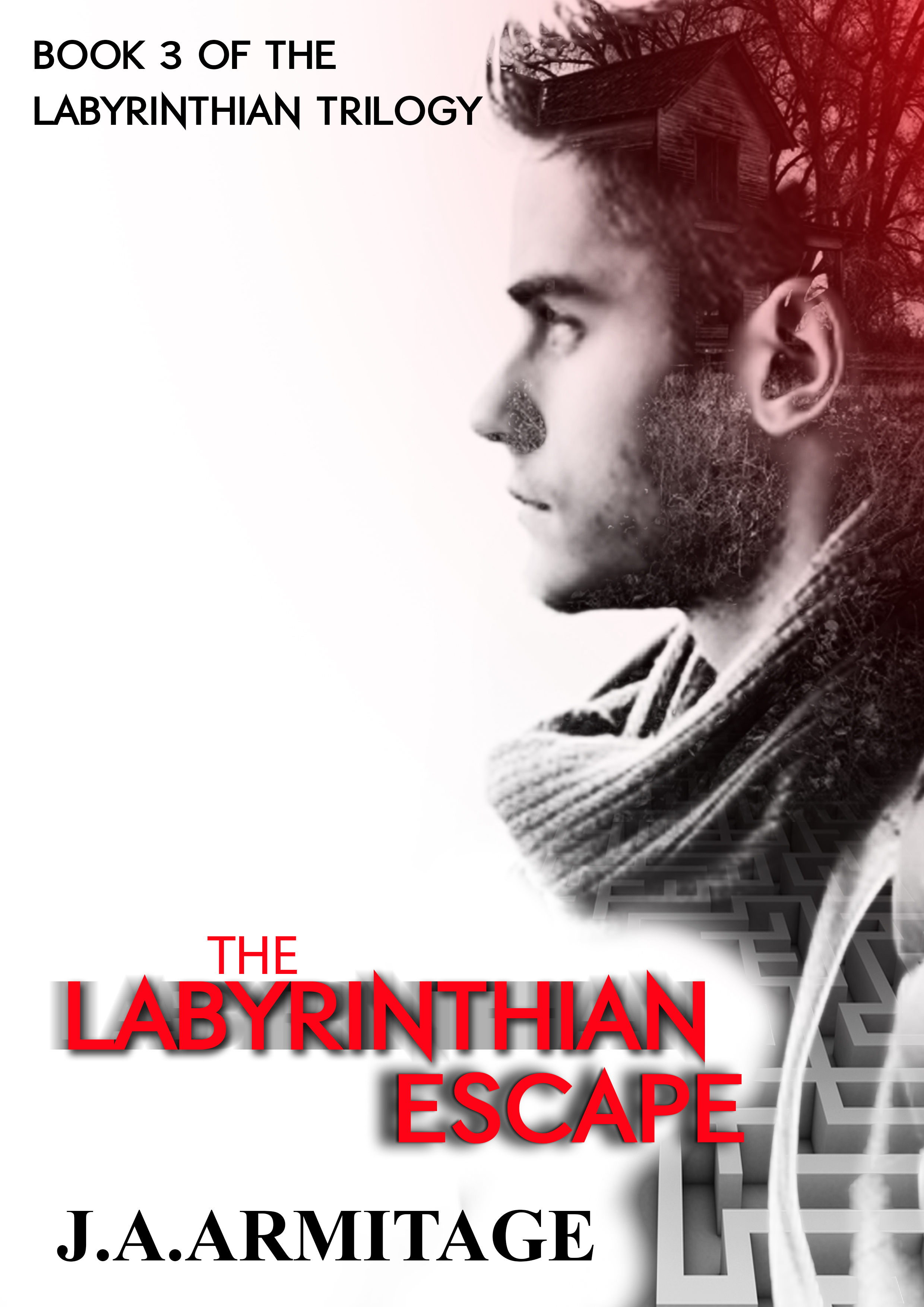 The Labyrinthian Escape book cover