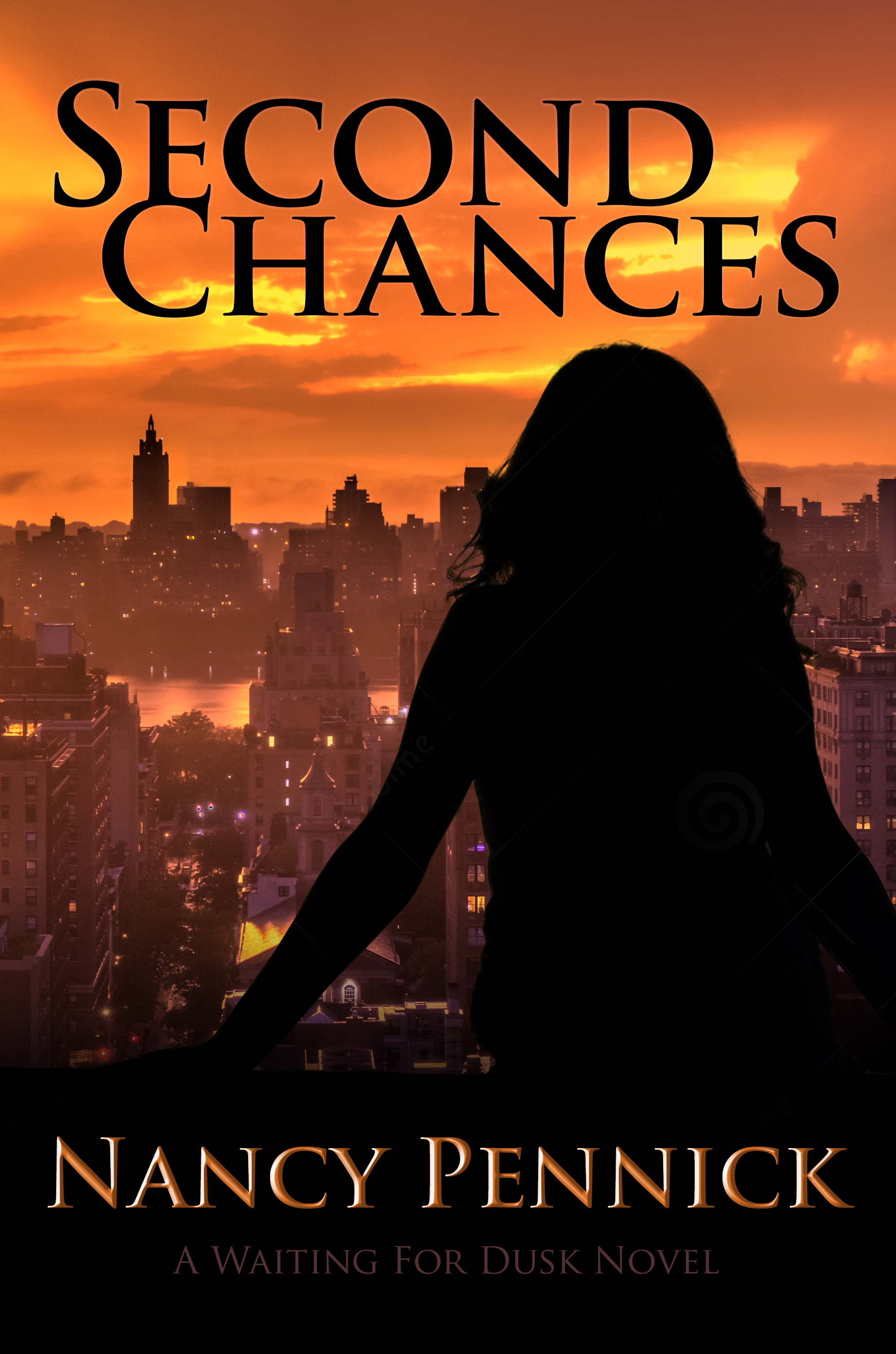 Second Chances book cover