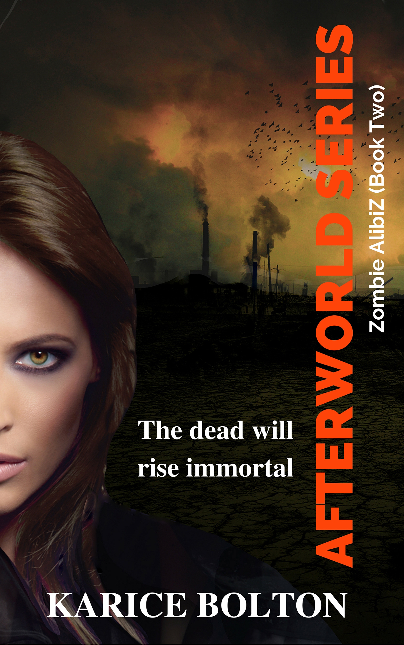 Afterworld book cover 2