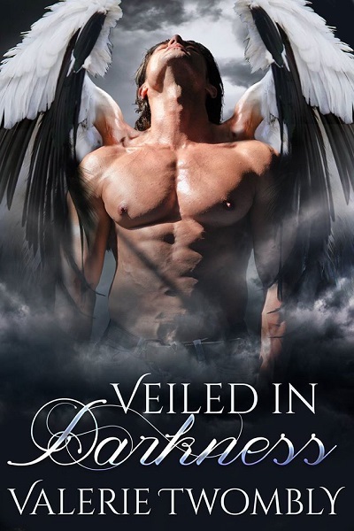 Veiled in Darkness book cover