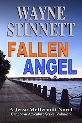 Fallen Angel book cover