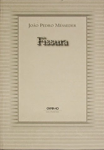 Fissura book cover