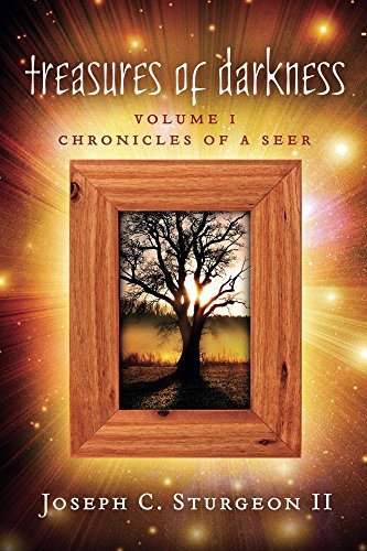 Chronicles of a Seer