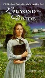 Beyond the Divide book cover