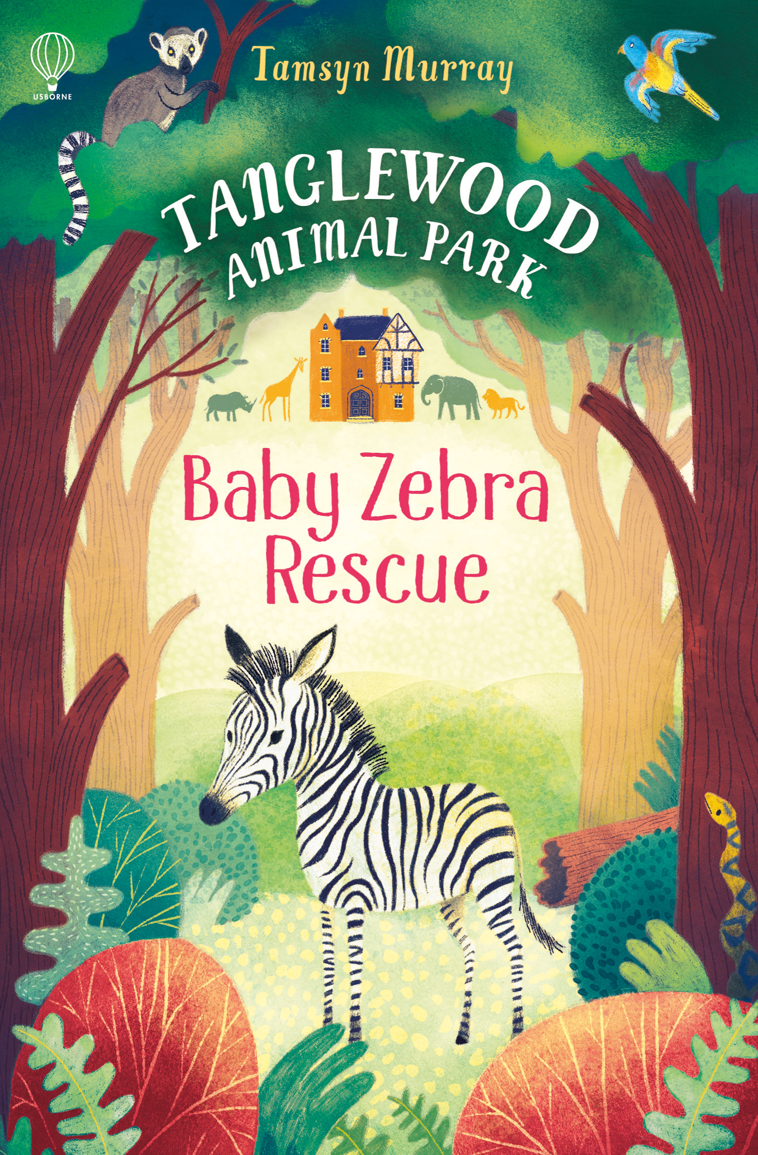Baby Zebra Rescue