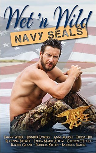 Wet 'n Wild Navy SEALs book cover