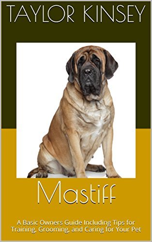 mastiff-a-basic-owners-guide-including-tips-for-training-grooming