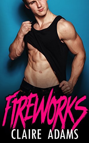 Fireworks book cover