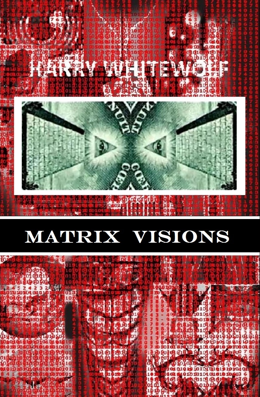 Matrix Visions book cover