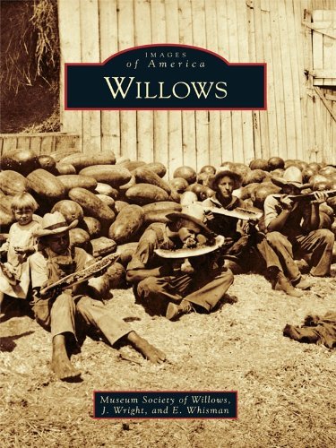 Willows book cover