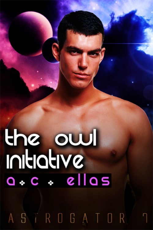 The Owl Initiative book cover