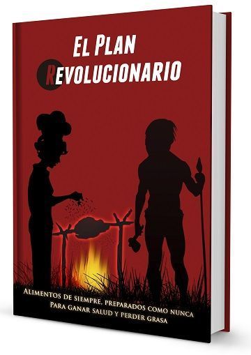 El plan revolucionario