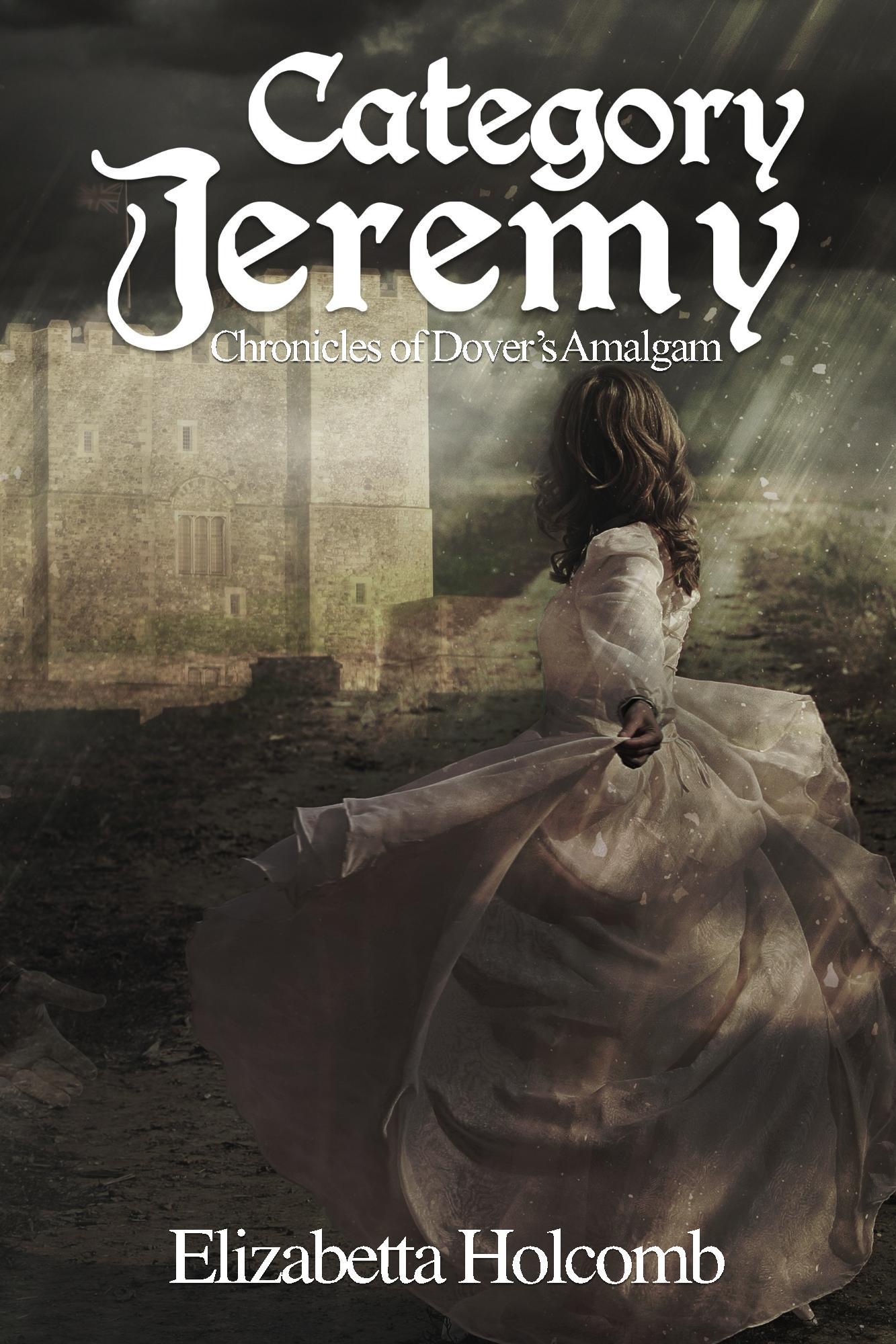 Chronicles of Dover's Amalgam book cover 2